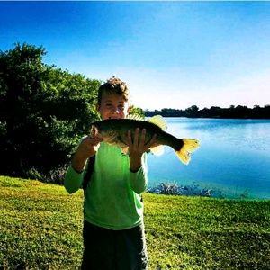 Meet your Posher, Dillon